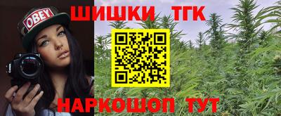 дмт Будённовск