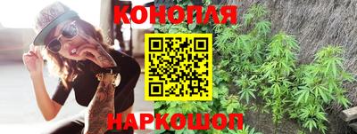 PSILOCYBIN Бугуруслан